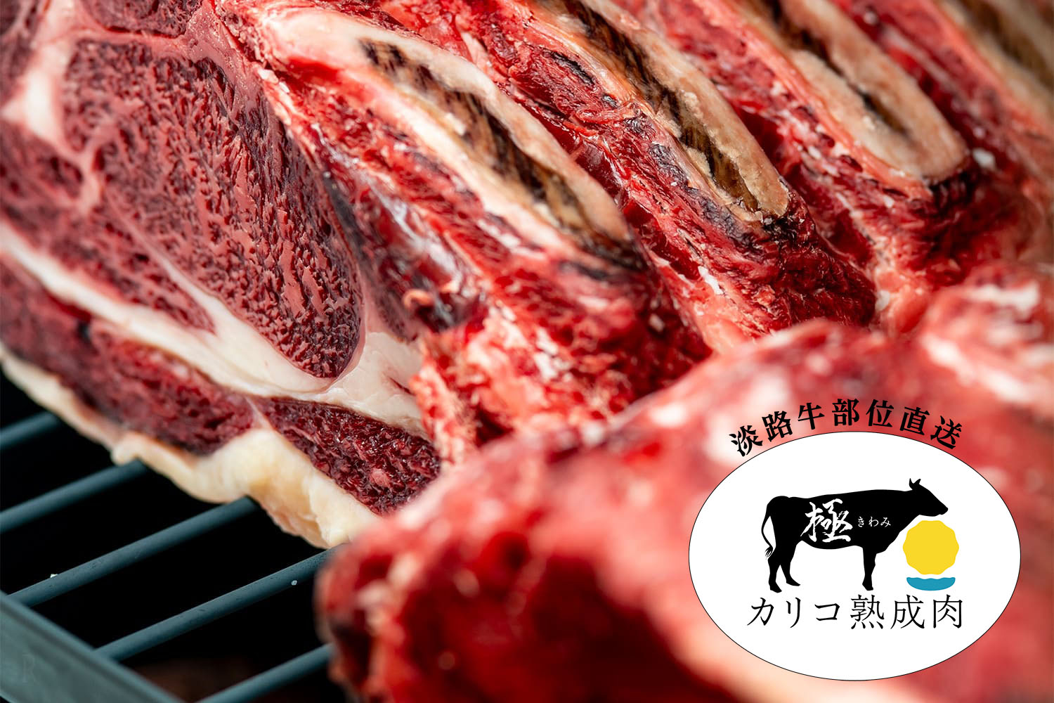 Kariko 熟成肉「極」